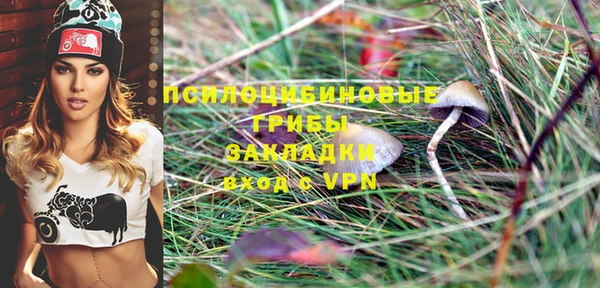 apvp Коряжма